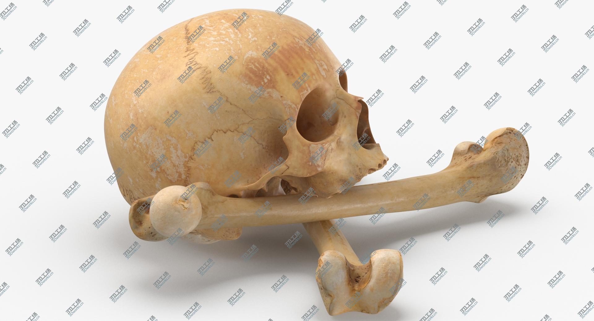 images/goods_img/202104091/3D Pirate Skull and Bones Composition 01 model/3.jpg